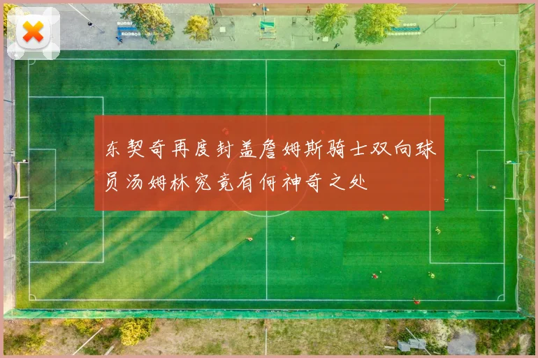 东契奇再度封盖詹姆斯骑士双向球员汤姆林究竟有何神奇之处